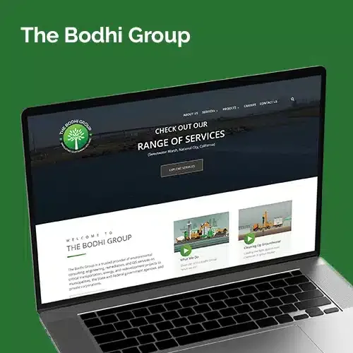 the-bodhi-group